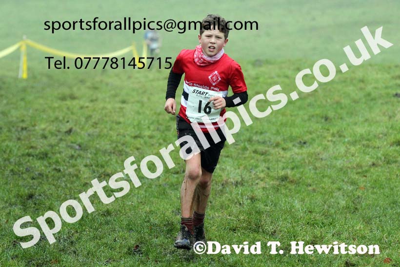 Boys under-13s, NECAA Junior Cross Country Relays, Thornley Farm, Peterlee, Saturday, December 12th. Photo: David T. Hewitson/Sports for All Pics